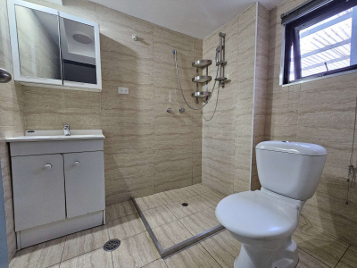 Riverwood华人区 独立超大Granny flat 包费 ...